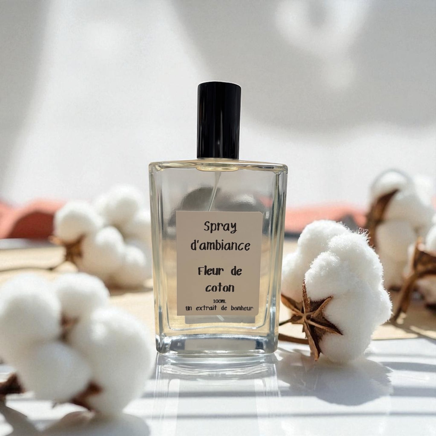 Spray d'ambiance