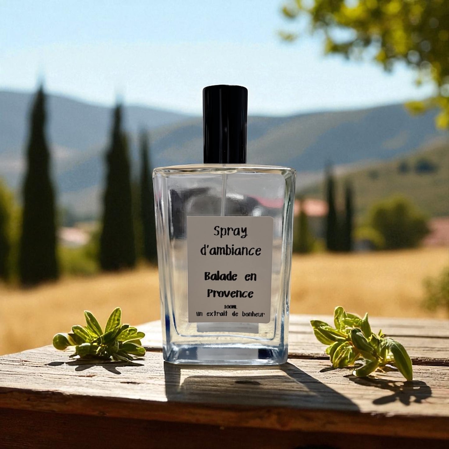 Spray d'ambiance