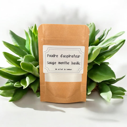 Poudre d'aspirateur - Sauge menthe basilic -