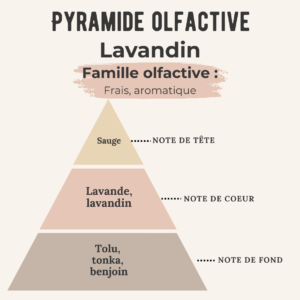 Bougie gourmande – Lavandin –