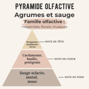 Bougie gourmande – Agrumes et sauge –