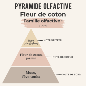 Bougie gourmande – Fleur de coton –